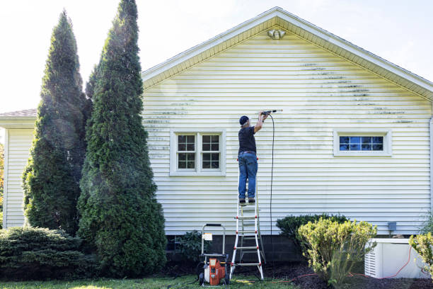 Best Building Exterior Washing  in Raoul, GA